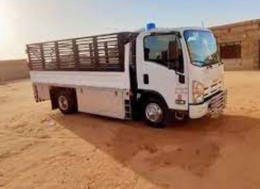 صندوق دينا مفتوح جاهز للتسليم بعد التصنيع